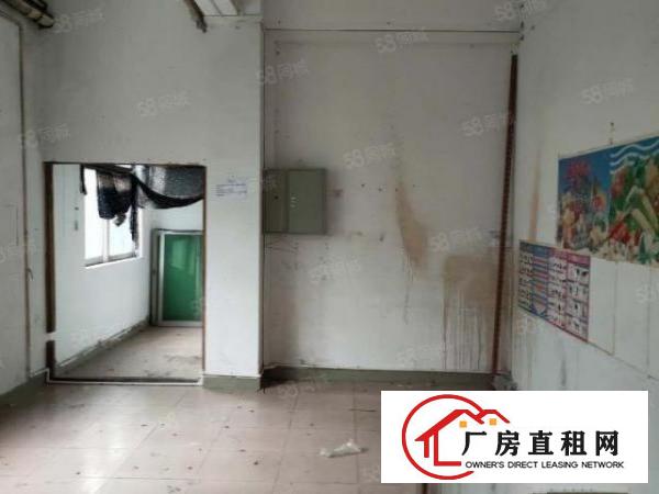 布料市场附近现成装修厂房急租！博美原房东厂房分租四楼650平