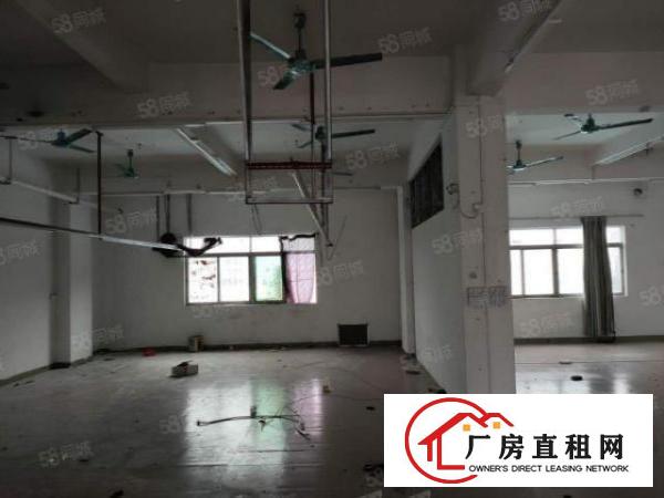  布料市场附近现成装修厂房急租！博美原房东厂房分租四楼650平