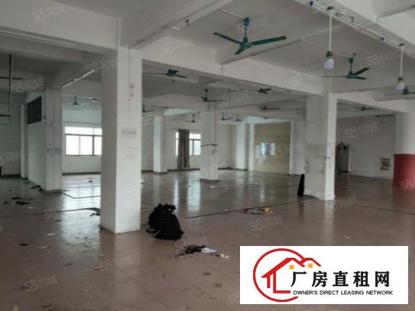  布料市场附近现成装修厂房急租！博美原房东厂房分租四楼650平