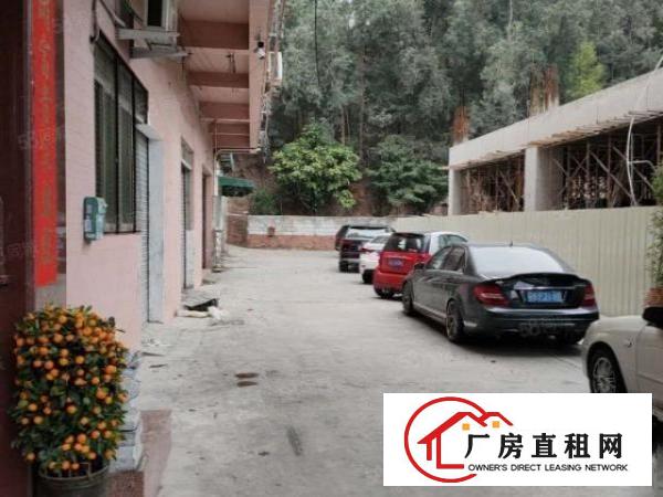  布料市场附近现成装修厂房急租！博美原房东厂房分租四楼650平
