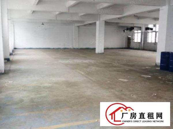  布料市场附近现成装修厂房急租！博美原房东厂房分租四楼650平