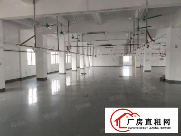  虎门白沙四楼1400平方现成水电办公室装修厂房！。