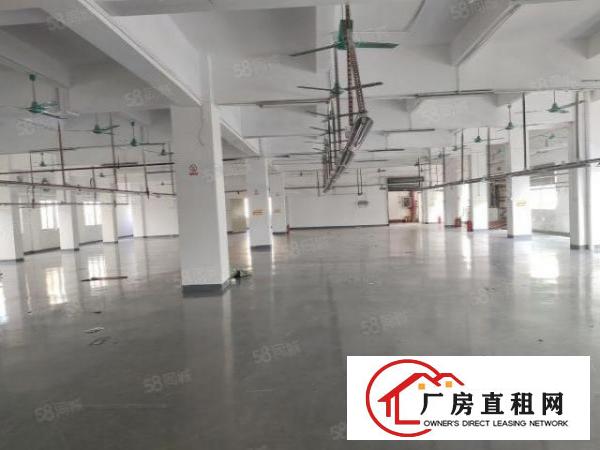  虎门白沙四楼1400平方现成水电办公室装修厂房！。