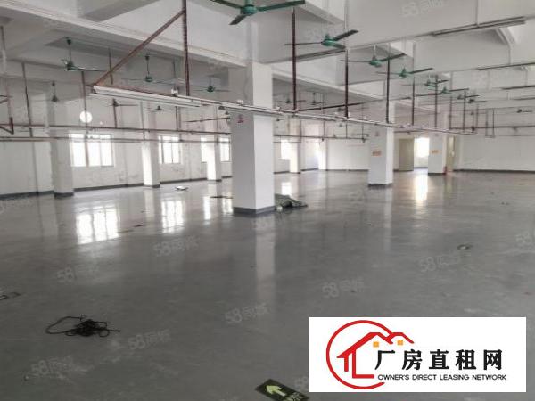  虎门白沙四楼1400平方现成水电办公室装修厂房！。