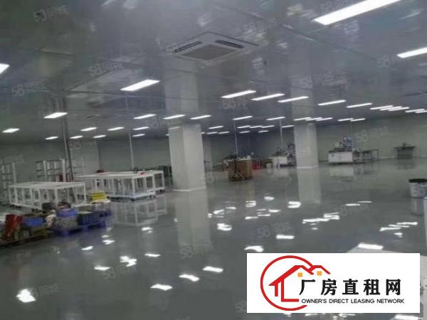  精！虎门镇南栅独门独院原房东7800平厂房出租！新出绝世靓盘