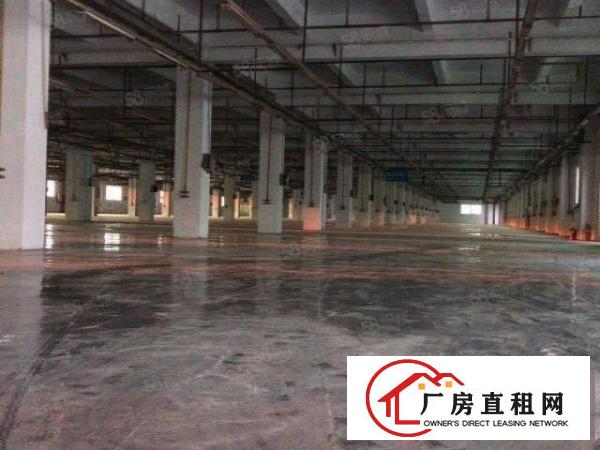  虎门居岐社区红本厂房2000方招租带红本拎包即可办公