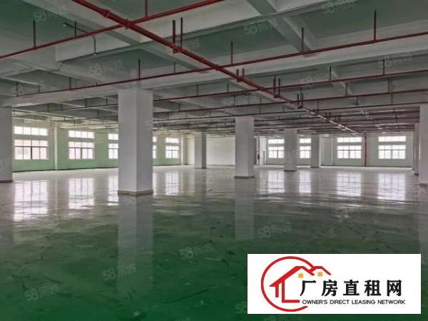  虎门大宁楼上底至12块(大小分租）全新重工业厂房出租
