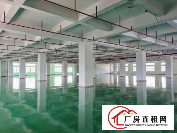  虎门大宁楼上底至12块(大小分租）全新重工业厂房出租