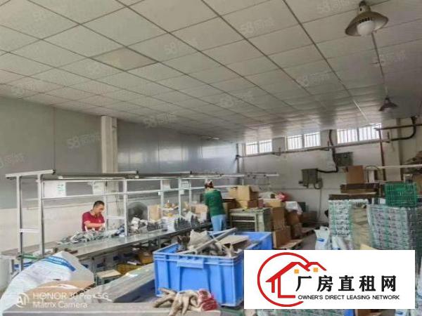  新出原房东2500平方单一层实际面积独门独院