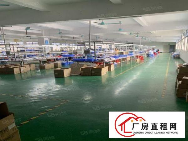  虎门13块独院4850平三层精装修厂房出租实际面积无公摊