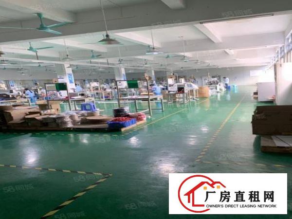  虎门13块独院4850平三层精装修厂房出租实际面积无公摊