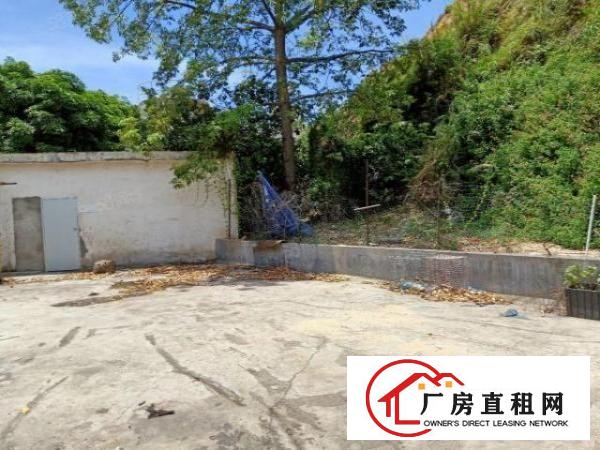  虎门重工业厂房2500平方米火爆招租