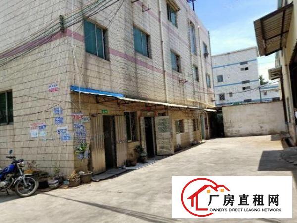  虎门重工业厂房2500平方米火爆招租