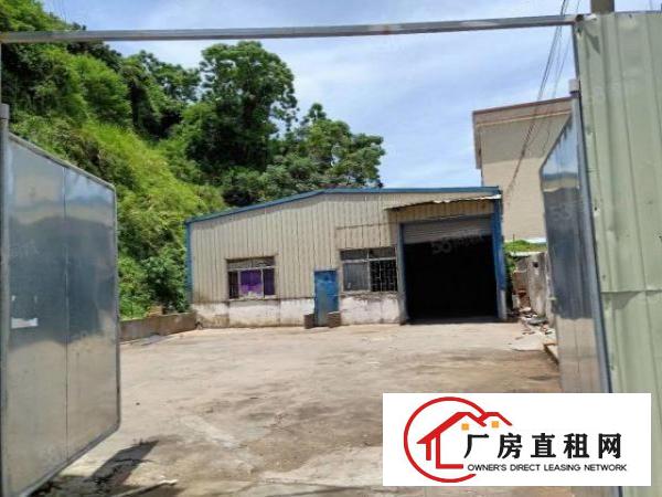  虎门重工业厂房2500平方米火爆招租