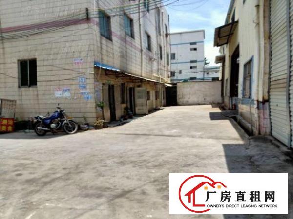  虎门重工业厂房2500平方米火爆招租