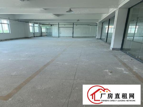  虎门龙眼整层带玻璃办公室电商仓库300平至2800平厂房出租