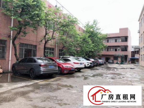  虎门南栅原房东出租重型工业独院厂房5200方配套齐全单价23
