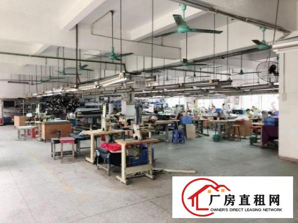  虎门南栅原房东出租重型工业独院厂房5200方配套齐全单价23