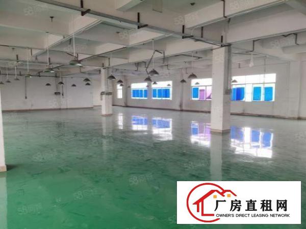  虎门白沙新出原房东6楼760平方厂房.现成装修.办公室！！