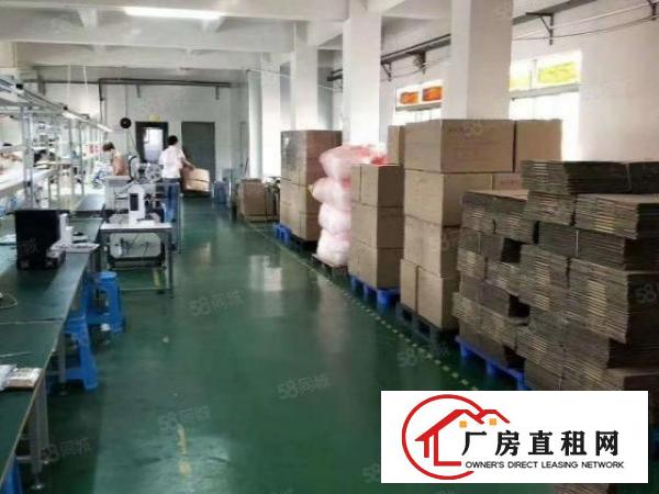  虎门3300平小独院15块带精装修办公室厂房出租