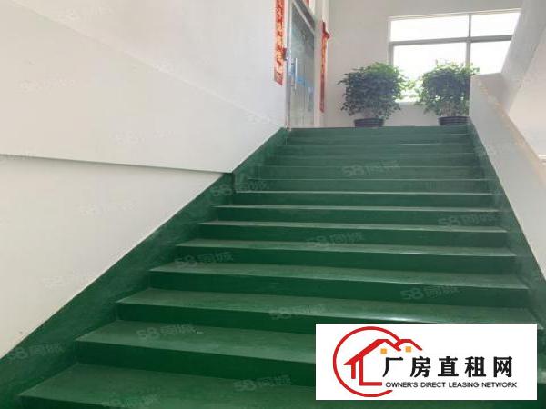  虎门3300平小独院15块带精装修办公室厂房出租