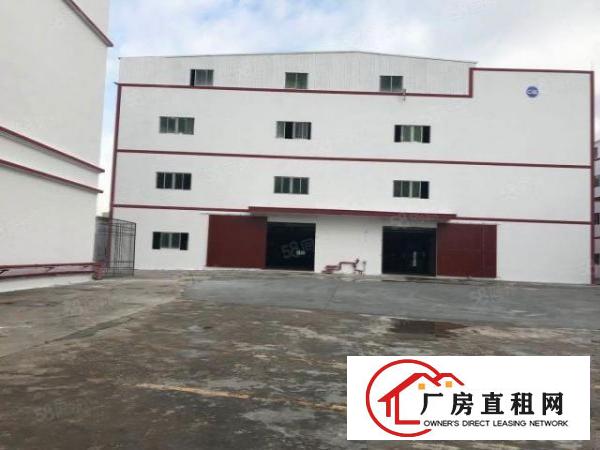  虎门居歧2000平出租原房东直租有红本带装修