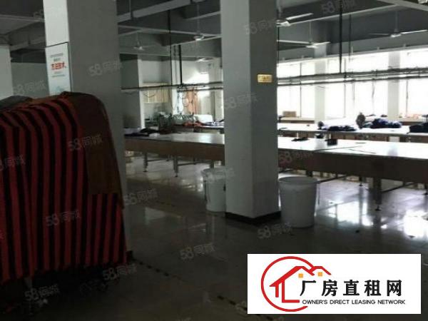  虎门北栅新出原房东5500平独院厂房豪华装修厂房出租可分租