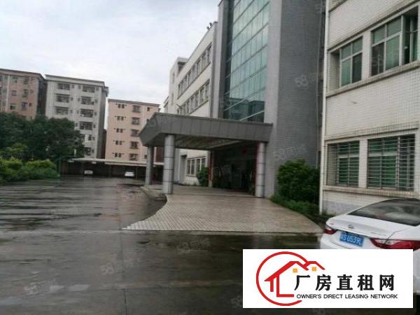  虎门北栅新出原房东5500平独院厂房豪华装修厂房出租可分租