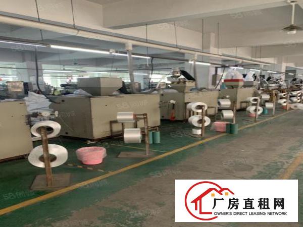  虎门北栅新出原房东5500平独院厂房豪华装修厂房出租可分租