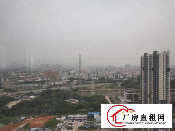  原房东厂房租虎门占地20000平方