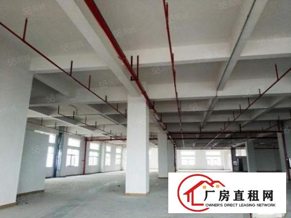  虎门镇原房东全新独院88000平方出租，可整租也可以分租