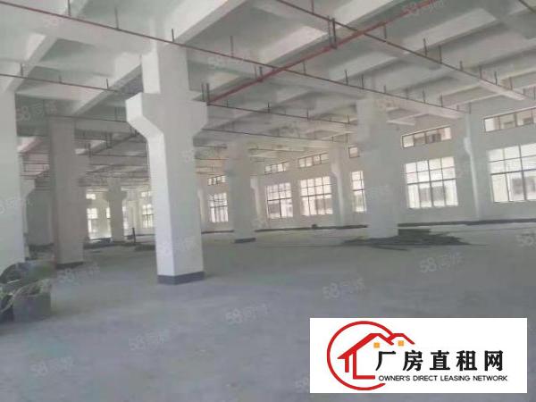  虎门镇原房东全新独院88000平方出租，可整租也可以分租