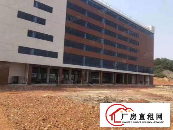  虎门镇原房东全新独院88000平方出租，可整租也可以分租