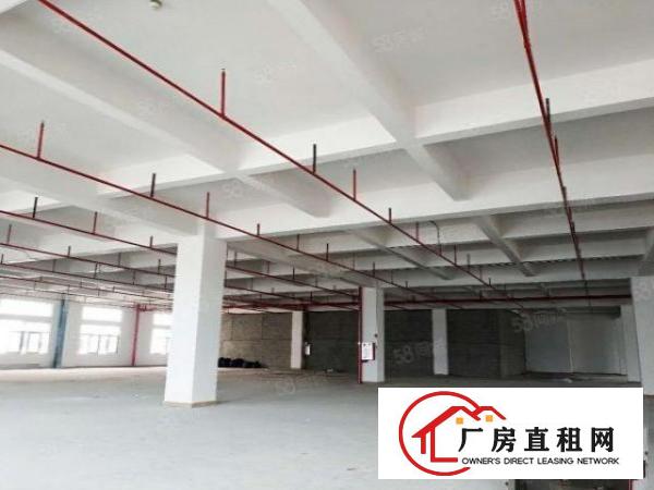  虎门镇原房东全新独院88000平方出租，可整租也可以分租