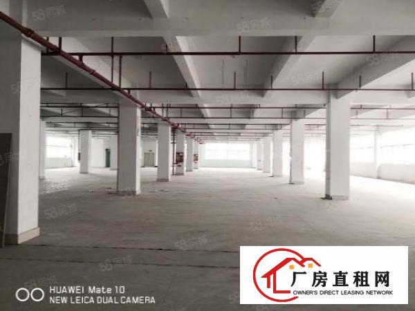  虎门镇原房东全新独院88000平方出租，可整租也可以分租