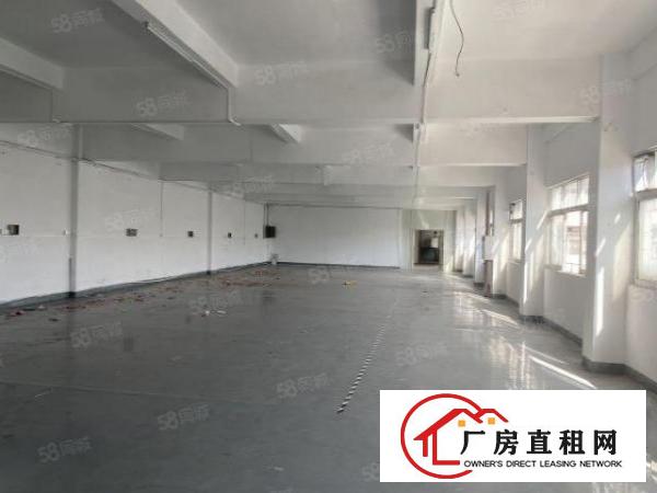  虎门北栅原房东厂房1楼300方实际面积出租啦！可办环评