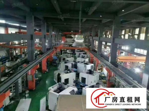  虎门镇树田全新钢构！十年无递增！2800平全新10米高厂房！