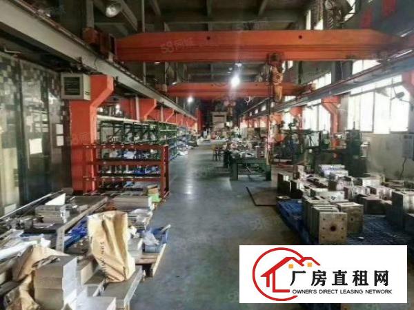  虎门镇树田全新钢构！十年无递增！2800平全新10米高厂房！