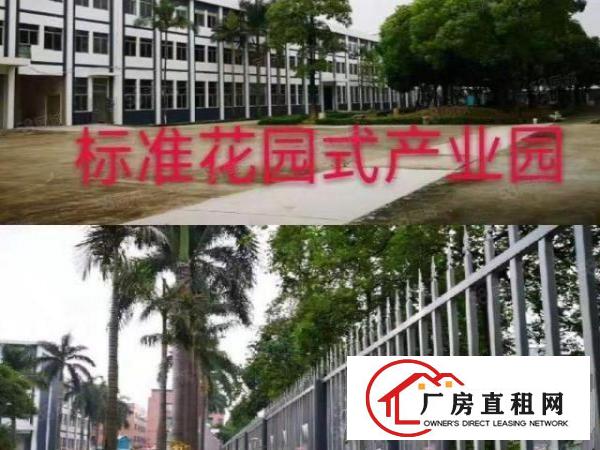  豪华装修！可办环评！北栅原房东1080豪华装修厂房出租啦！