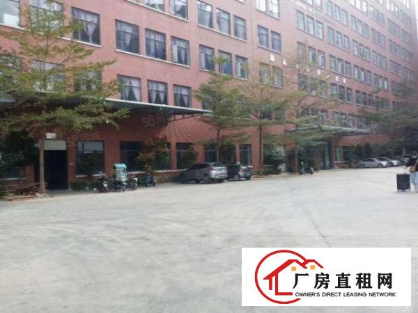  。虎门树田工业区新空出9楼3000平米精装修电子厂房出租