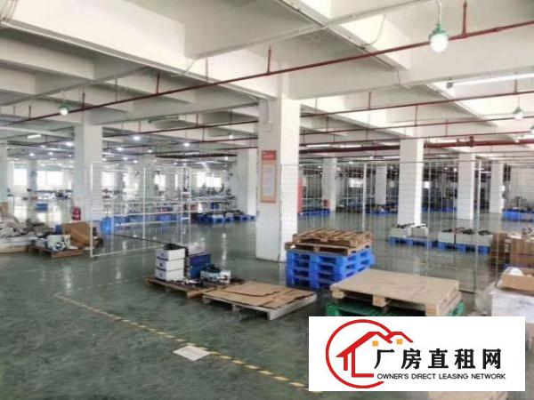  东莞虎门居岐社区工业园7万平厂房出租精装修一楼仓房可分租