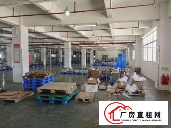  东莞虎门居岐社区工业园7万平厂房出租精装修一楼仓房可分租