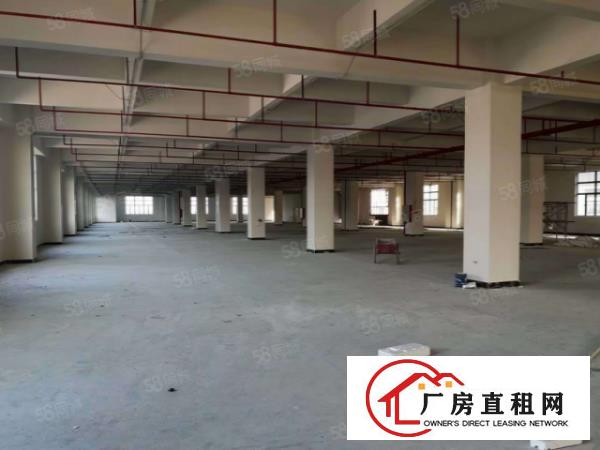  南栅新出工业厂房招租，单层2380平方出租，800平方起租