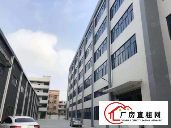  南栅新出工业厂房招租，单层2380平方出租，800平方起租