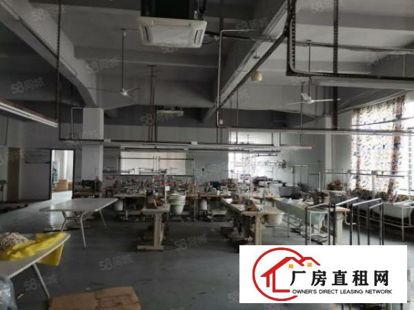  新出豪华装修厂房1600平方，免转让费