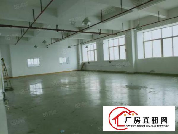  南栅五区楼上新出1600平豪华装修厂房出租可办环评