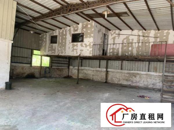  小独院整租20元2500平7米高钢构厂房含住宿办公室