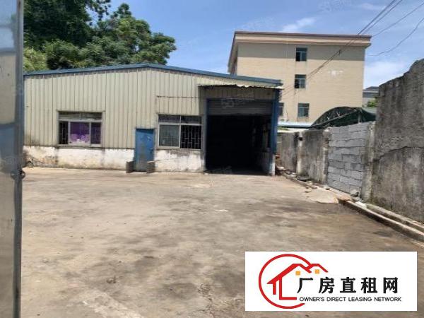  小独院整租20元2500平7米高钢构厂房含住宿办公室