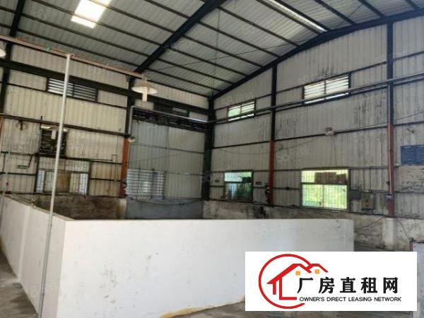  小独院整租20元2500平7米高钢构厂房含住宿办公室