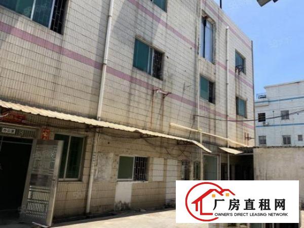  小独院整租20元2500平7米高钢构厂房含住宿办公室